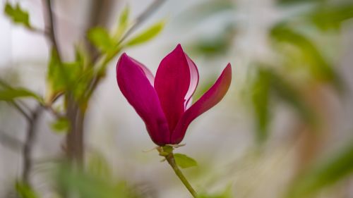 Depositphotos 345414474 Xl 2015